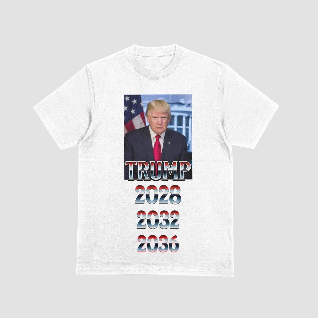 Unisex Heavy Cotton Tee, Politics, Trump, Elections, Gifts